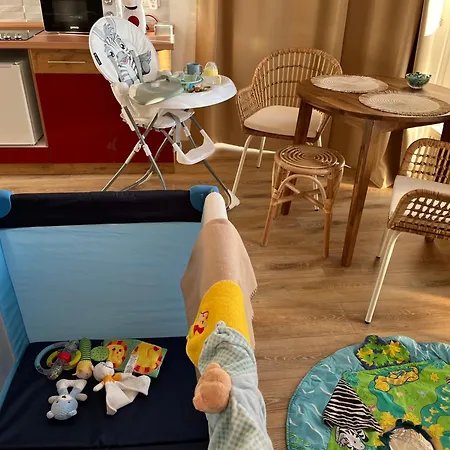 Cedrus タポルツァ