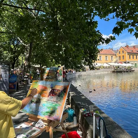 アパート Cedrus タポルツァ