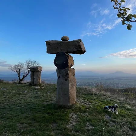 Cedrus Ταπόλκα