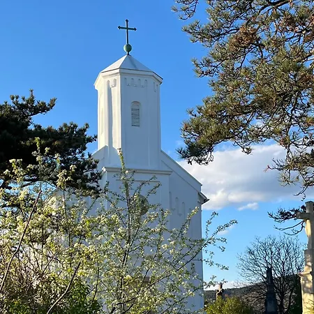 Cedrus * Ταπόλκα