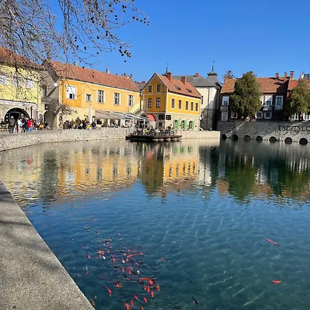Cedrus Lejlighed Tapolca