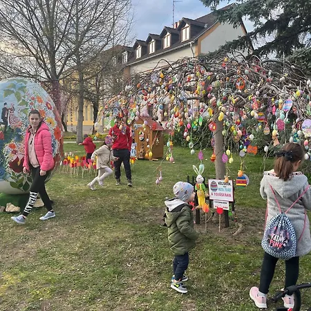 Cedrus * Ταπόλκα