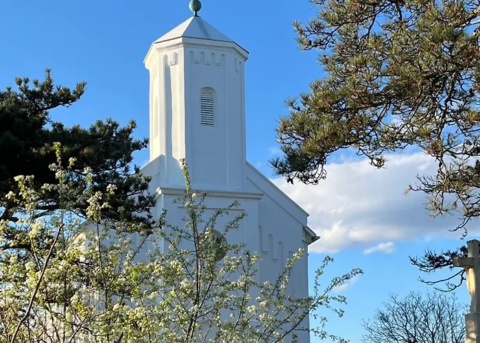 Cedrus * טפולצה