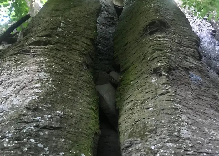 Cedrus アパート